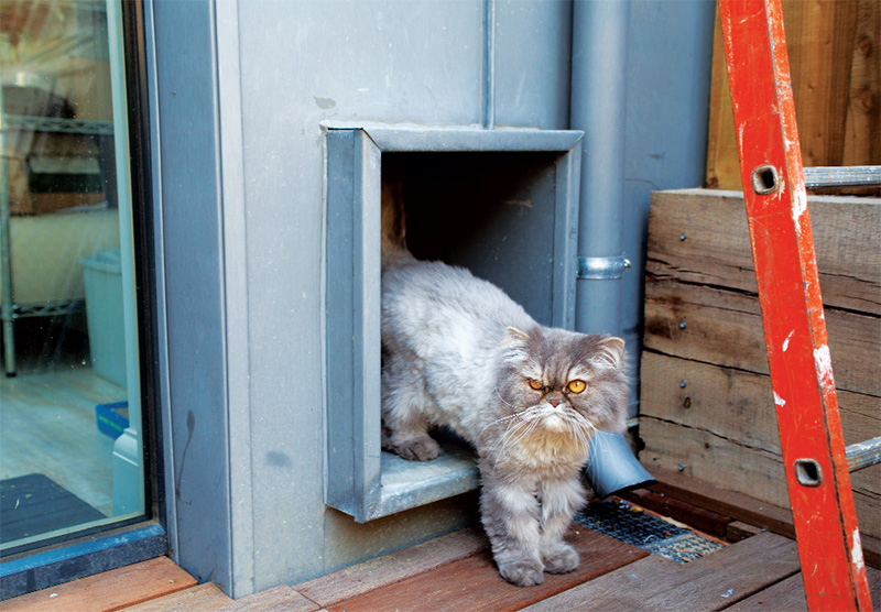 Passive house best sale cat flap